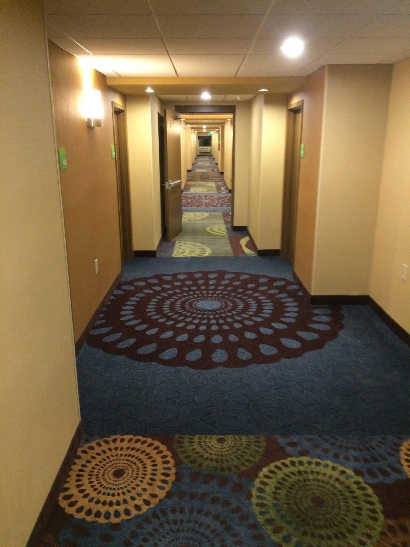 Holiday Inn Greensboro Coliseum By Ihg Eksteriør billede